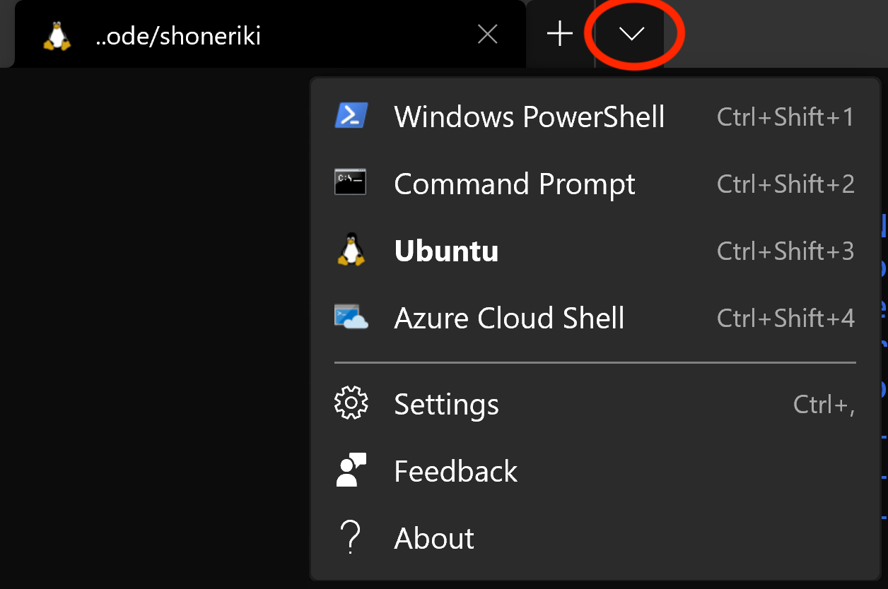 The profile selection drop-down menu is displayed overlaid on Windows
Terminal, with options for Windows PowerShell, Command Prompt, Ubuntu and Azure
Cloud Shell